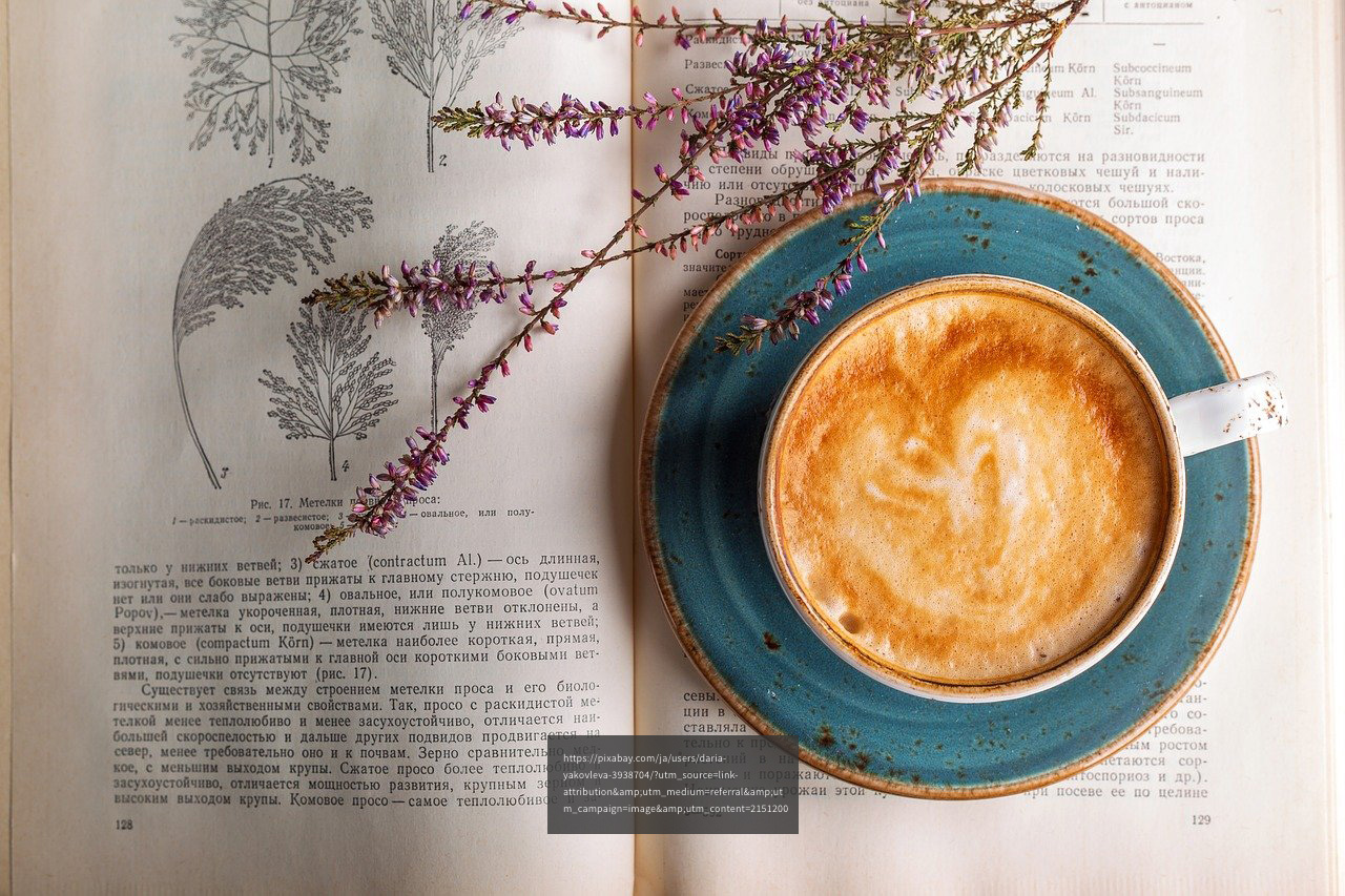 カフェオレの写真